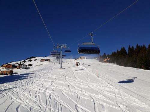 Apartamento Ferienwohnung Schnetzer Au