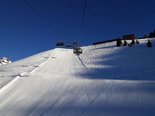 Apartamento Ferienwohnung Schnetzer Au