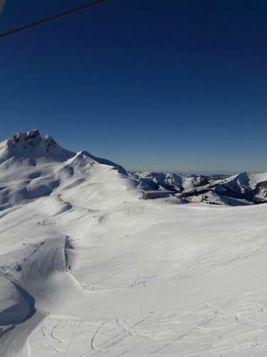 Apartamento Ferienwohnung Schnetzer Au