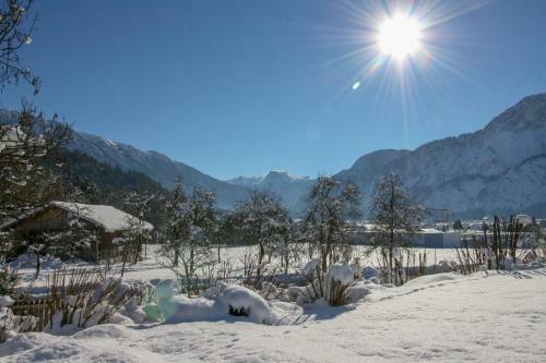 Villa Anna Bad Goisern Am Hallst�ttersee