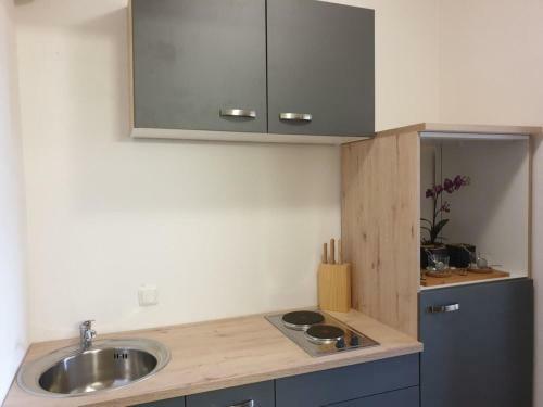 Attractive Apartment In Bad Goisern With Terrace