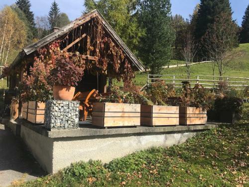 Bed & Breakfast Reiterhof Nigglgut