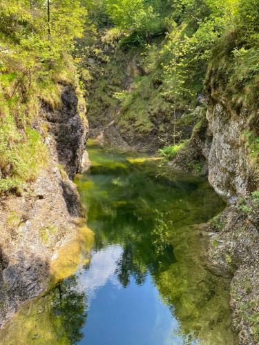 Apartamento Haus Edelwei�