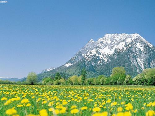 Luxury Chalet With Pool And Sauna, Skilift At 500m