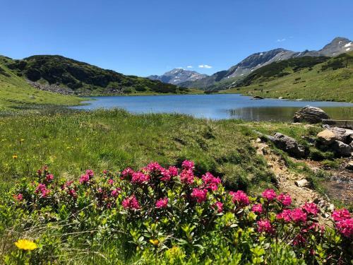 Ferienlodge Edelstein