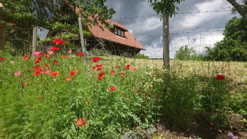 Hostal G�stehaus Der Gamser Winzerstube