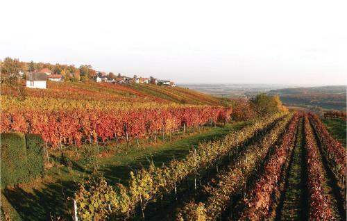 One-bedroom Apartment In Hagensdorf