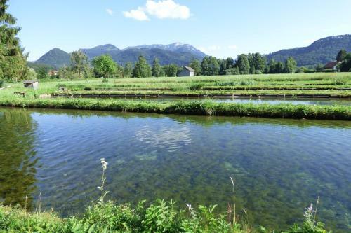 Bed & Breakfast Wieselm�hle Forellenhof