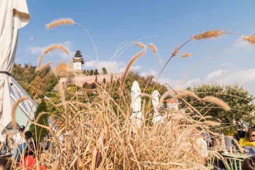 Apartamento The Architects Nest - Design Loft Graz