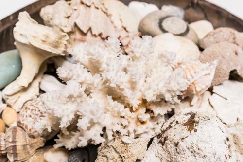 Apartamento The Architects Nest - Design Loft Graz