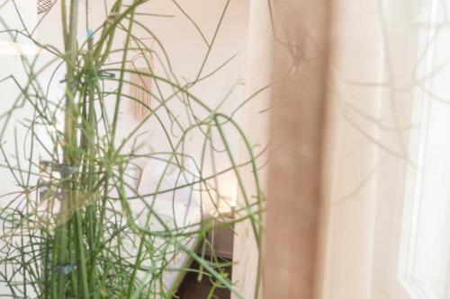 Apartamento The Architects Nest - Design Loft Graz