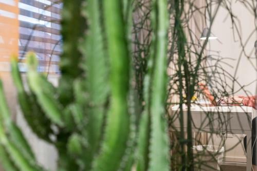 Apartamento The Architects Nest - Design Loft Graz