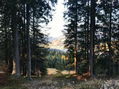 Hostal Hochfilz�ner Hof