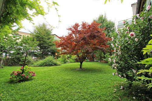 Nigler Innsbruck Apartment