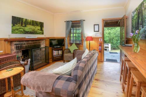 Hostal Forest Edge - Nature Lovers' Retreat