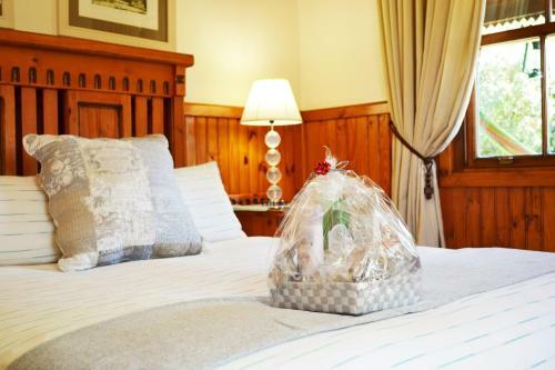 Hostal Forest Edge - Nature Lovers' Retreat
