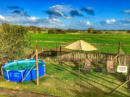 Hostal Forest Edge - Nature Lovers' Retreat