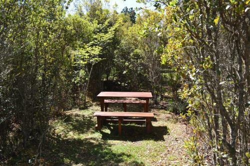 Hostal Forest Edge - Nature Lovers' Retreat