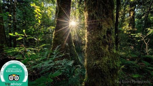 Hostal Forest Edge - Nature Lovers' Retreat