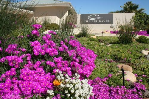 Hostal The Sir David Boutique Guest House