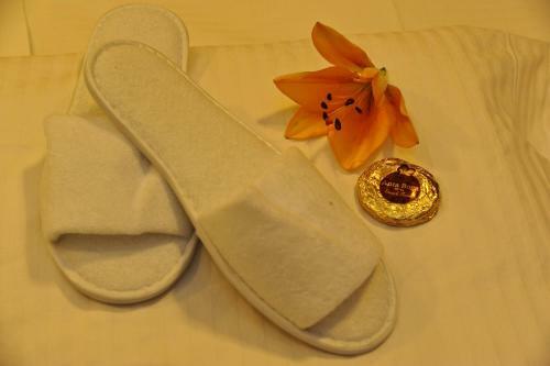 Anta Boga Hotel