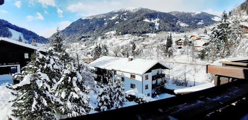 Family Apartment Enzian Top 9