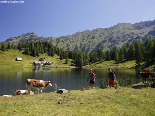 Apartamento Schladming An Der Piste 2