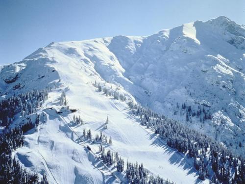 Snug Apartment In Seefeld In Tirol With Infrared Sauna