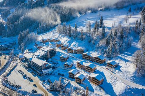 Chalet Dorf Wagrain Alpenleben