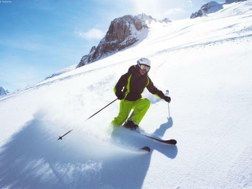 Apartamento Salzach Appartement Wald 1