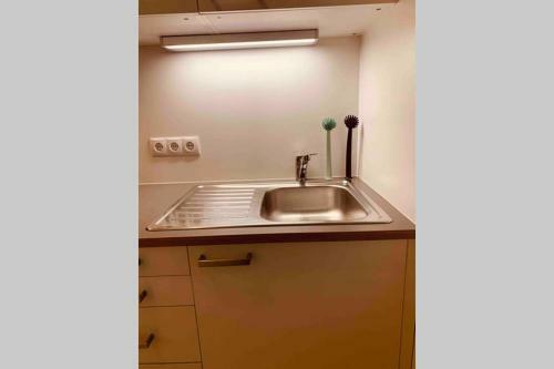 Spacious 1 Br City Apartment Belvedere