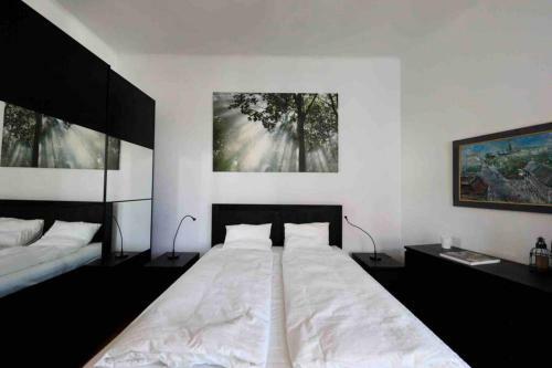 Spacious 1 Br City Apartment Belvedere