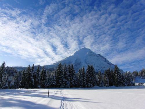 Alpenchalet Im Leutaschtal