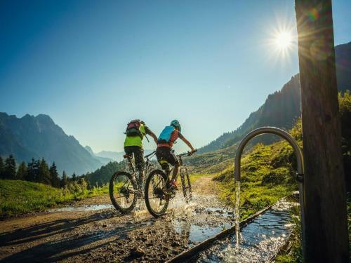 Grieswirt Tirol Xl