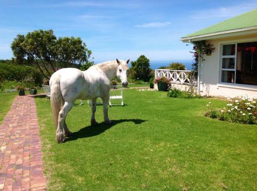 Agroturismo T'niqua Stable Inn