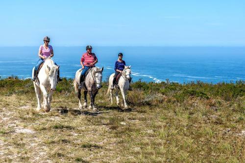 Agroturismo T'niqua Stable Inn