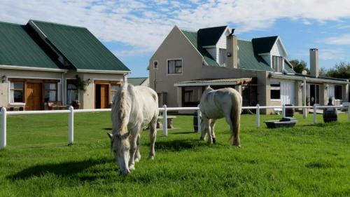 Agroturismo T'niqua Stable Inn