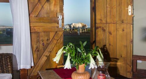 Agroturismo T'niqua Stable Inn