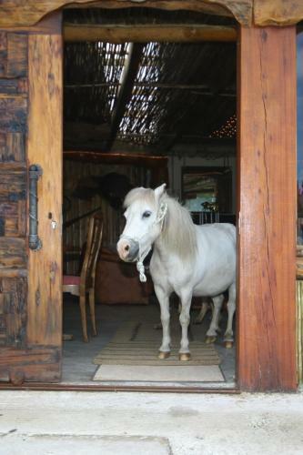 Agroturismo T'niqua Stable Inn