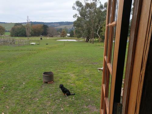 Berrys Creek Tiny House