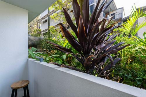 Apartamento School Street Studios
