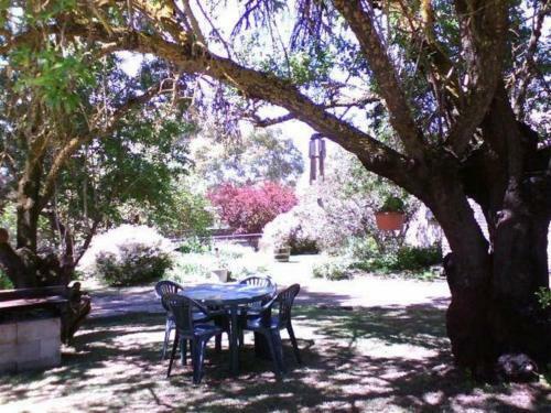 Bed & Breakfast Morse Cottage