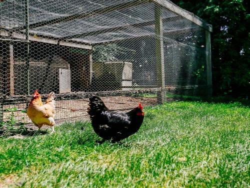 Hardigreen Park - Spacious With Tennis Court