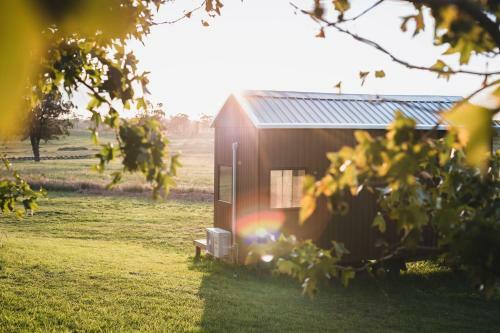 Acres Of Avoca
