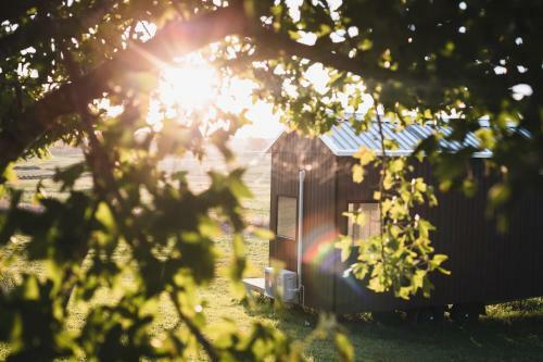 Acres Of Avoca