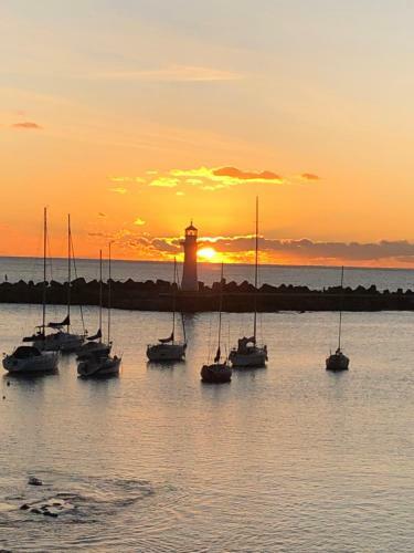 Hotel Argo Apartments