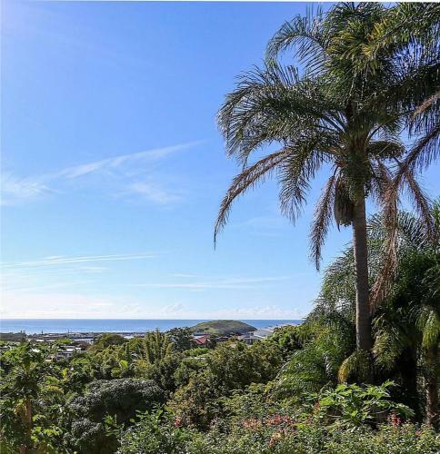 The Lookout - Coffs Harbour, Nsw