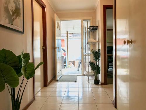 Budget Clayton Homestay