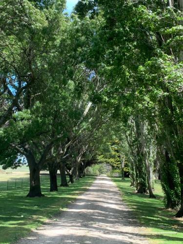 Hotel Vaucluse Estate - Tasmania B&B