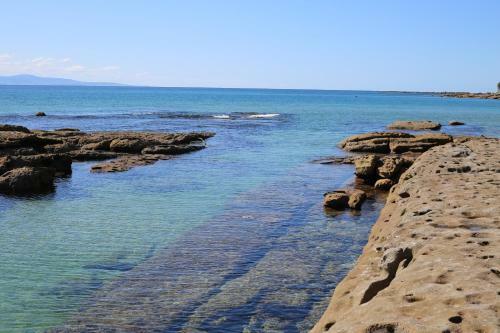 The Crescent - Pet Friendly - 1 Min To Beach